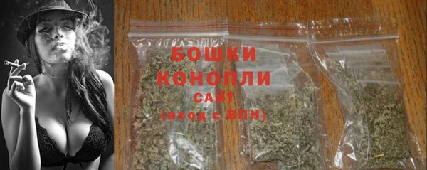 PSILOCYBIN Беслан