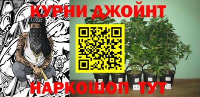 мдпв Дубна