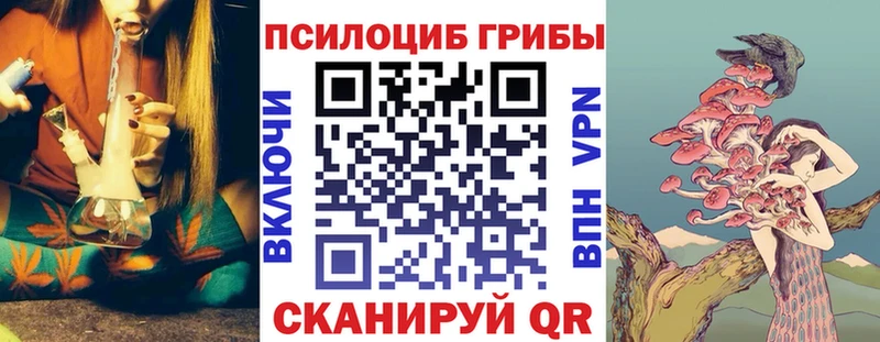 Галлюциногенные грибы мицелий  хочу   Надым 