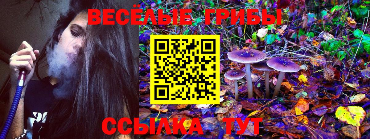 Надым  Псилоцибиновые грибы прущие грибы  Вход с VPN 