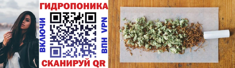 omg как зайти  Надым  Бошки Шишки индика  как найти наркотики 